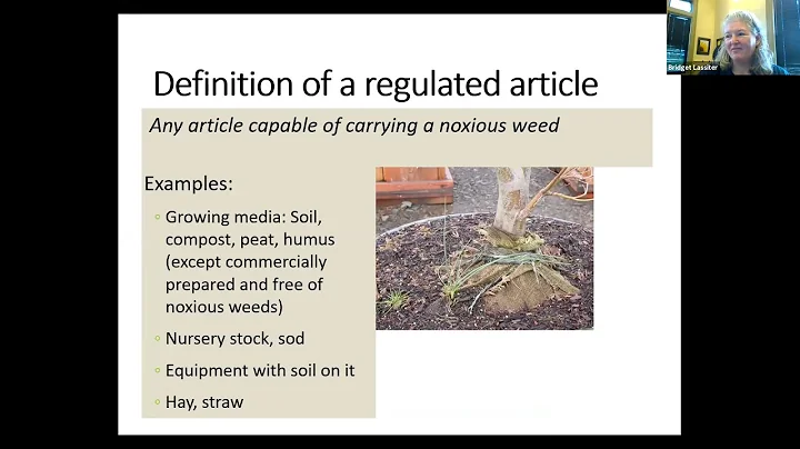 PPP July 2019 | Noxious Weeds