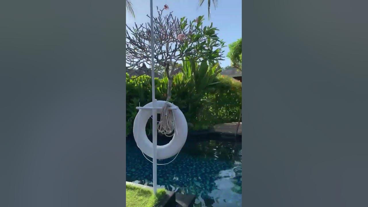 Esperando na Janela🎵Cogumelo Plutão