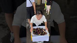 Agriculture Village Fresh Fruit #Viral #Fruit #Shorts #1097