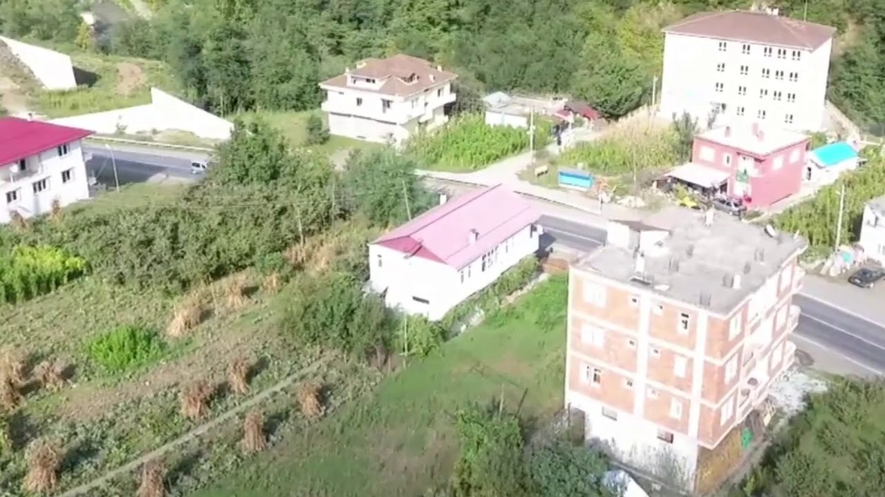 10000000 1656650744376970 2922452561749344256 n