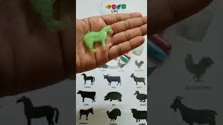Growing Capsule Animals #Shorts