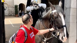 Get off the reins! Tourists had the shock of their lives!