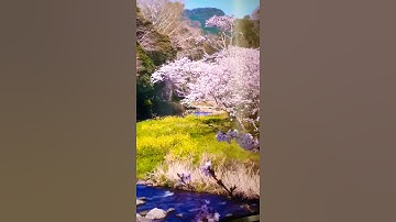 تلاوة روعه . صوت جميل / حالات واتس أب