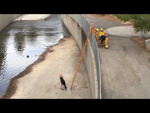 LA River Rescue - man rescued and arrested