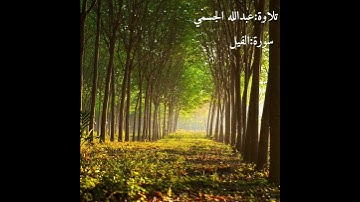 سورة الفيل | عبدالله الجسمي | Abdullah Aljassmi | تسجيل من خارج المسجد