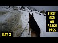 DAY 3/I TOOK MY GERMAN SHEPHERD TO SAACH PASS / DALHOUSIE TO SACH PASS