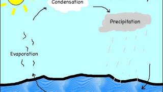 The Water Cycle Song