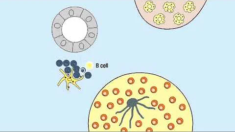 Why is it called Germinal?