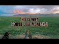 Feeding the horses  montana sunset  asmr  relaxing with the cat