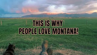 Feeding the HORSES ~ Montana Sunset ~ ASMR ~ relaxing with the cat