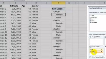 Use an Excel Pivot Table to Group Data by Age Bracket