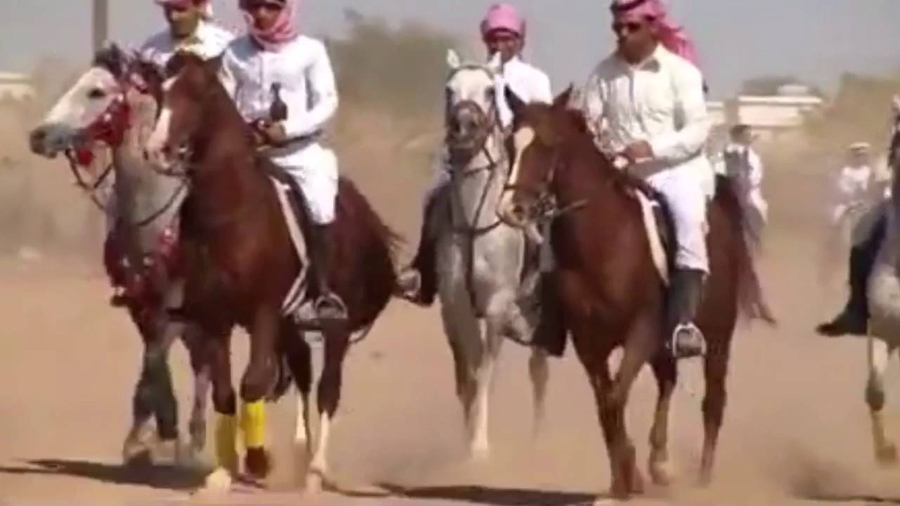 ال الهندي يام - صالح ال كليب | 2016