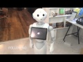 Pepper visits the office