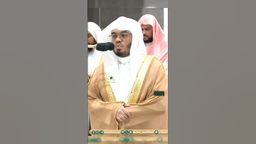 تلاوة خاشعة 🍃 سورة التكوير 🍃    | للشيخ أ.د ياسر الدوسري