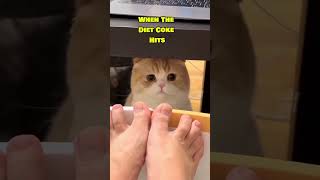 When The Diet Coke Hits