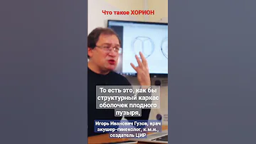 Хорион. Что такое хорион. Плодные оболочки. #shorts Игорь Иванович Гузов про беременность.