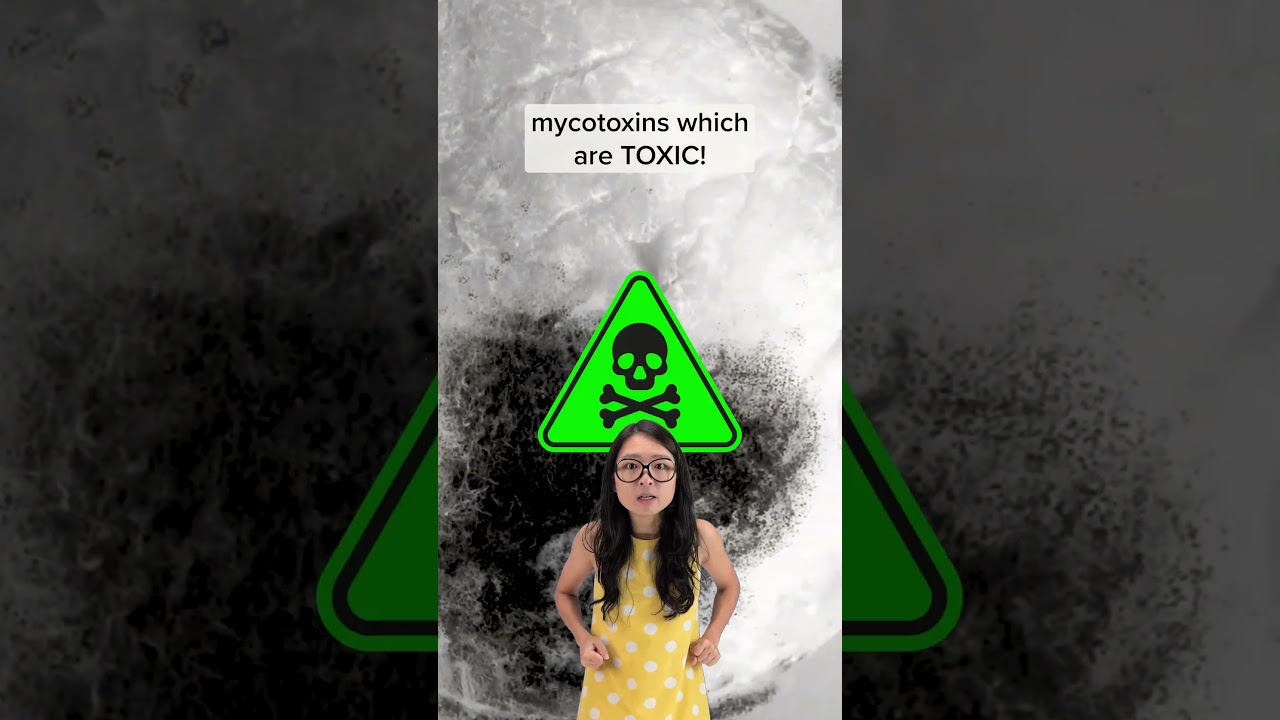 Is Mouldy Bread Safe to Eat? NO. 