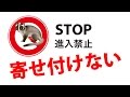 置くだけで野鳥・サル・ハクビシンを寄せ付けない（駆除・忌避・退治）「ねずみさんバイバイ」設置事例｜山梨県・果実園