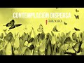 Franz Kaka - Contemplación dispersa - Zerstreutes Hinausschaun - Cuentos completos