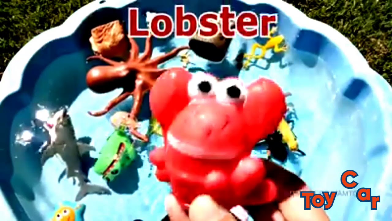 Learn Wild Zoo Animal Names For Kids With Toys In The Pool YouTube