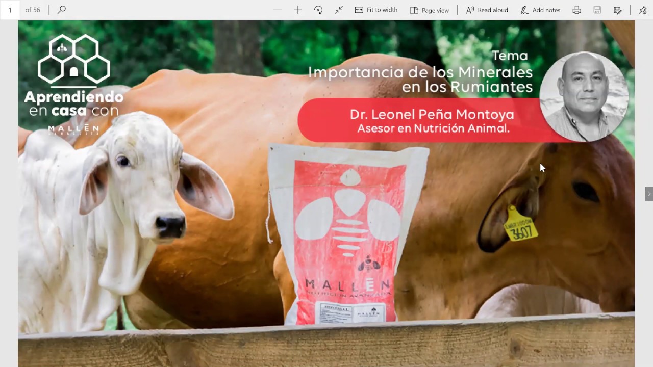 Importancia de los Minerales en los Rumiantes