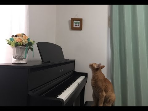 懐メロをピアノ伴奏で歌ってみよう！「TOMORROW」いづみmusic