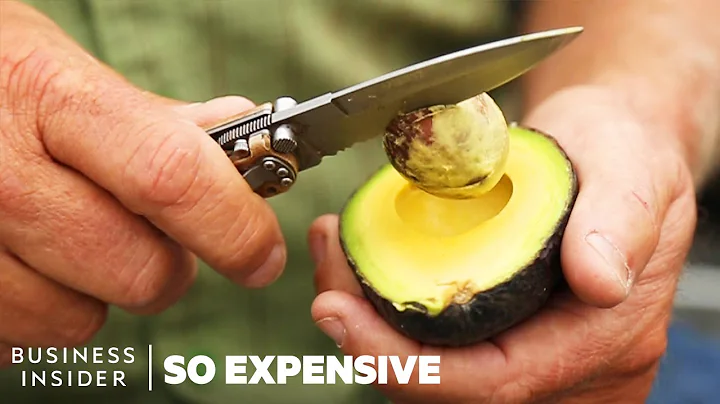 Why Avocados Are So Expensive | So Expensive - DayDayNews