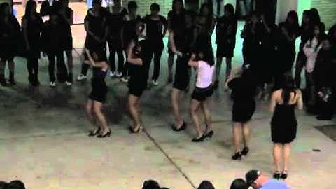 USF aKDPhi - Eta Class Probate Spring 2010 - Part 7 of 7
