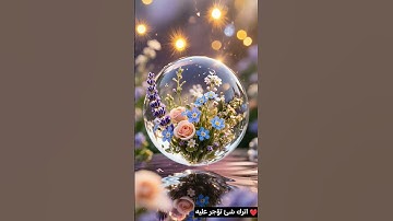 اسمع وارح قلبك #تلاوة_هادئة #المصحف #قران_كريم #تلاوة_خاشعة #قرآن #قران #قرآن_كريم
