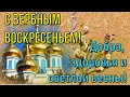 Вербное Воскресенье! Красивое Поздравление с Вербным Воскресеньем! Музыкальная Открытка!