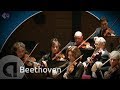 Beethoven: Symphony no.5 - Heinrich Schiff conductor [HD]