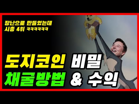   정보 도지코인 급등 도지코인 채굴방법 채굴후기 채굴수익