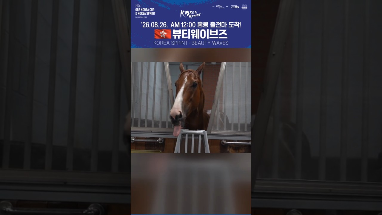 2026 코리아스프린트 출전마! 홍콩 뷰티웨이브즈가 왔어요 #beautywaves