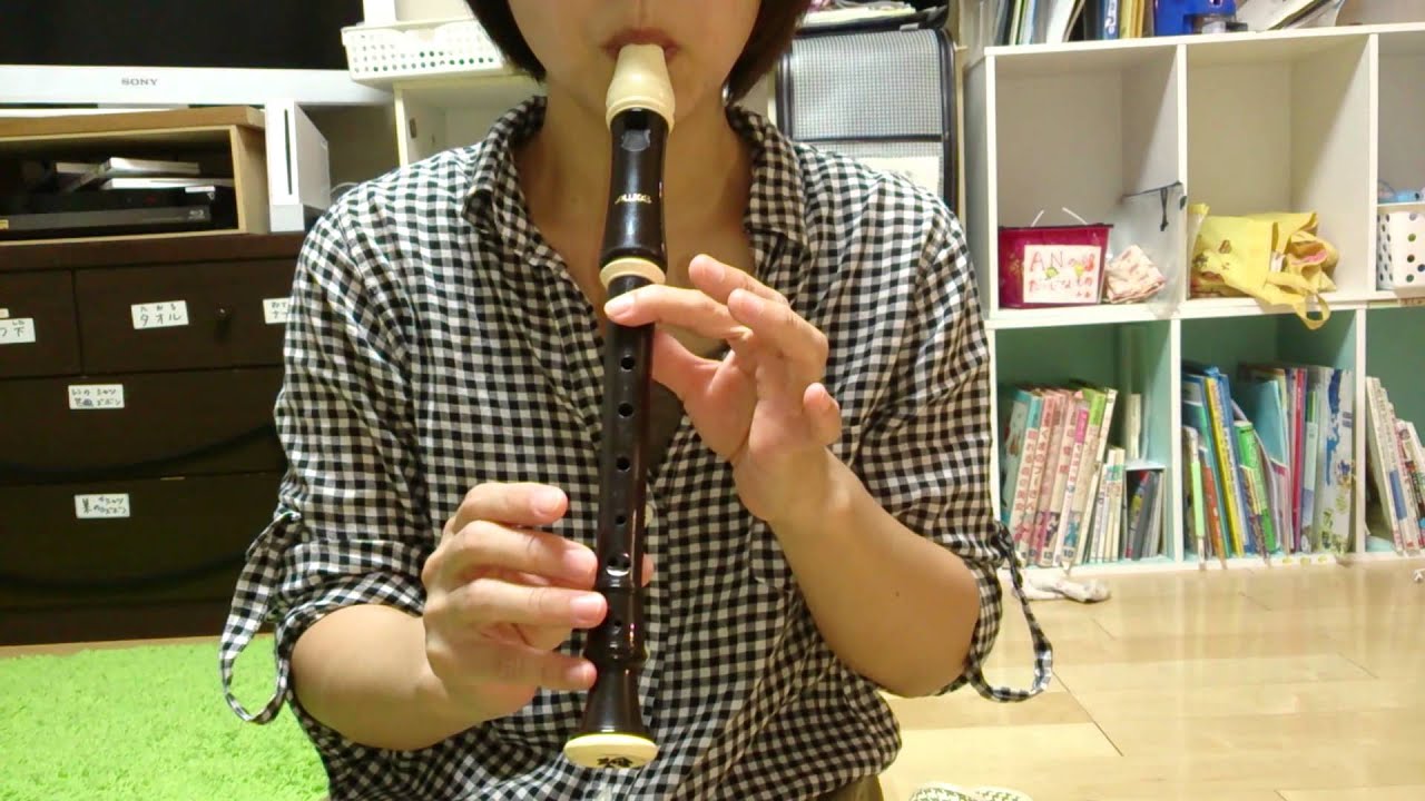 いろいろ 聖者の行進 リコーダー 楽譜 ソシドレ 聖者の行進 リコーダー 楽譜 ソシドレ Blogjpmbahe8x6m