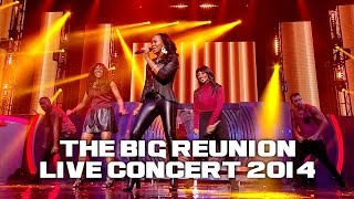 ETERNAL - DON'T YOU LOVE ME & POWER OF A WOMAN (THE BIG REUNION LIVE CONCERT 2014)