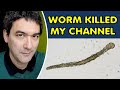 Did Youtube Shorts Destroy My Channel 3 Pieces Of Advice Did Youtube Shorts Destroy My Channel 3 Pieces Of Advice