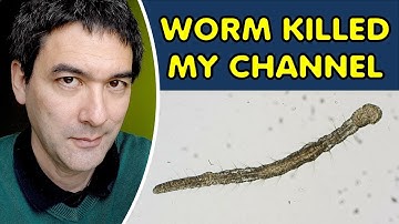 Did Youtube Shorts Destroy my Channel? 3 Pieces of advice