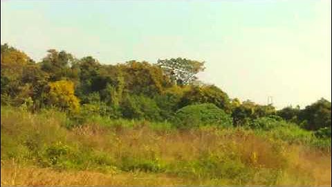 Testing new MKS servo with my 450 vdo2