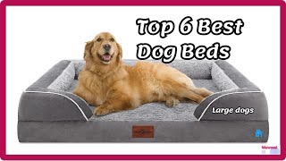 🐶🛏️TOP 6 Best Dog Beds for Large dogs /orthopedic / washable / waterproof ✅[Amazon 2024 Good] by bluwmai 71 views 1 month ago 8 minutes, 3 seconds