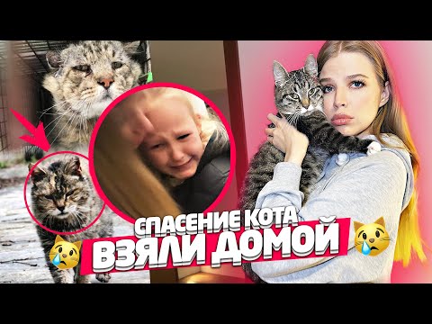 Video: Viktoriya Tolstoganovaning Eri: Fotosurat