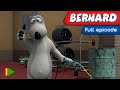 BERNARD BEAR 143 Full Episode 