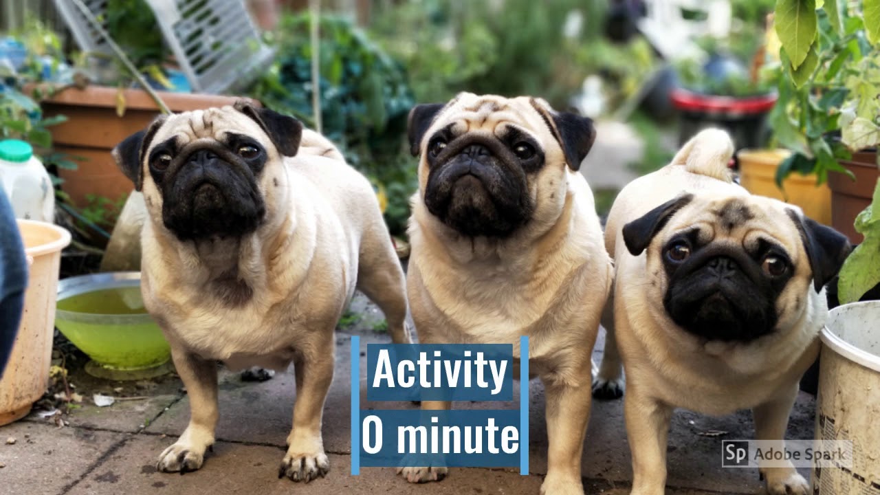 Lesson Two: Perspective. Perspective-taking in the Early Childhood Classroom