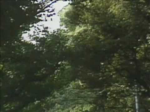 雨に濡れた慕情　　♪cover　　ちあきなおみ