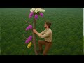 Breath-Taking Climb on a Giant Dry Tree for Wild Green Cinnamon