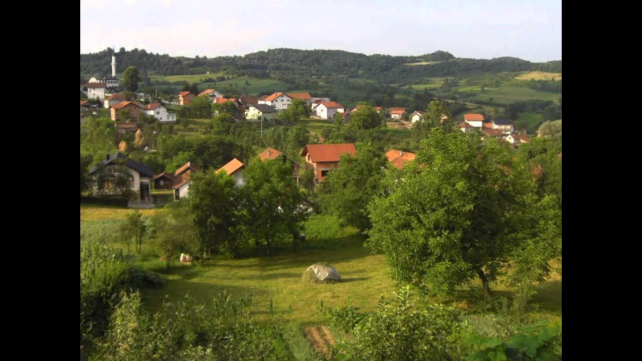 Alija Pekic - Oj Lisnjice