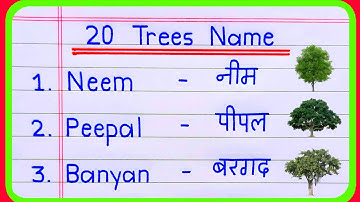 20 Trees Name in English and Hindi | Trees Name | Trees Name in English | पेड़ों के नाम