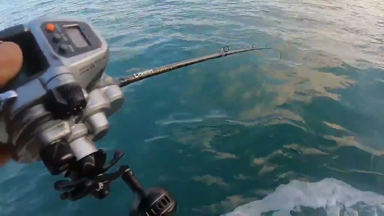 박프로가 전해주는 외수질의 기본 스킬( 문의010.9149.8200)