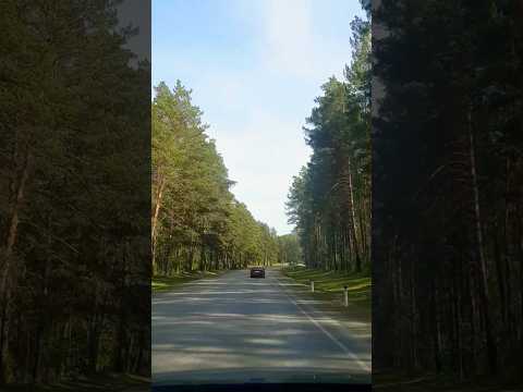 #рекомендации #видео #travel #врек #природа #подпишись #короткиевидео #настроение #алтай