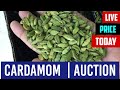 Cardamom auction live price today india 25  march 2024 elaichi wholesale market price