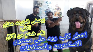 وانا رايح اصور مزرعه كلاب اتفاجئت / بكلب رود هجم عليا اول ماشافنى/ياترى ليه بعد كل ده